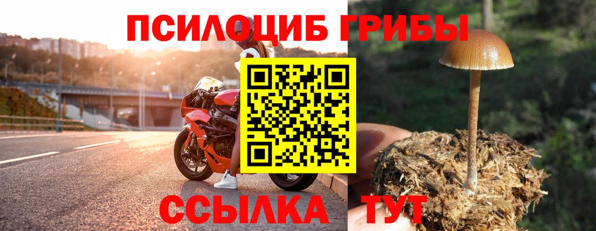 Галлюциногенные грибы мицелий  Галлюциногенные грибы Magic Shrooms  Энгельс  Вход с VPN 